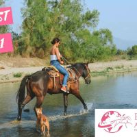 Horse Podcast Ep 151: Trail Riding Gadgets You Really Need! — Equestrian Adventuresses™